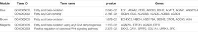 Identification of Potential Candidate Genes From Co-Expression Module Analysis During Preadipocyte Differentiation in Landrace Pig